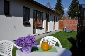 Отель Rekreace na Lipně Atrium  Фрымбурк